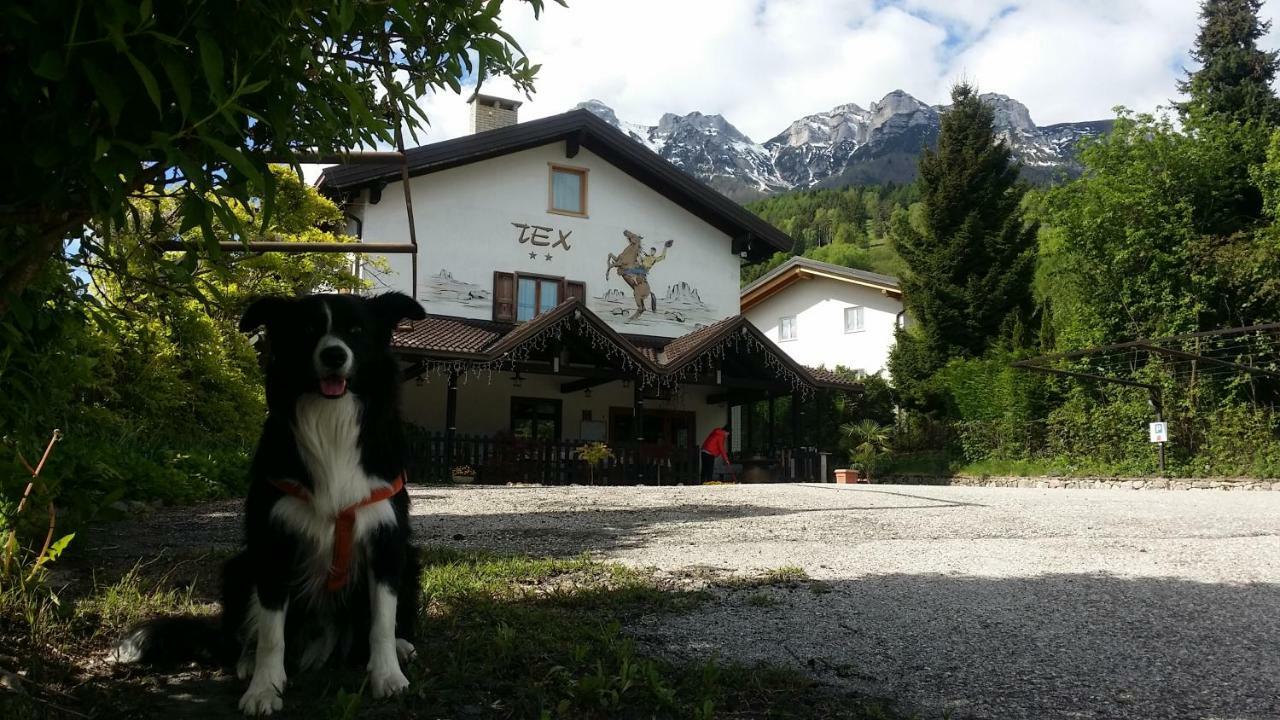 Bed and Breakfast Botton D'Oro Delle Dolomiti Vattaro Екстер'єр фото